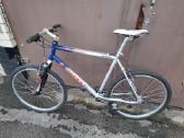 Everest L/55cm kalnu MTB hibridinis dviratis - nuotraukos Nr. 10