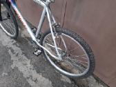 Everest L/55cm kalnu MTB hibridinis dviratis - nuotraukos Nr. 11