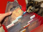 Gloomhaven (2017) - nuotraukos Nr. 12
