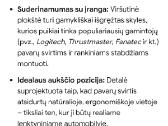 Simuliatorių platforma Playseat Sensaition Pro - nuotraukos Nr. 3