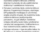 Radio bangomis valdomas lektuvas Mustangas - nuotraukos Nr. 4