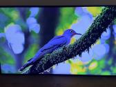 Samsung Qe55ls03a Qled Frame 4k Hdr Smart TV - nuotraukos Nr. 5