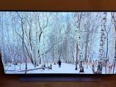 LG Oled48c11lb Oled 4k 120hz Smart TV - nuotraukos Nr. 11