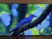Samsung Qe65qn95ba Neo-qled 4k 120hz Smart TV - nuotraukos Nr. 2