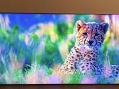 Samsung Qe65qn95ba Neo-qled 4k 120hz Smart TV - nuotraukos Nr. 8