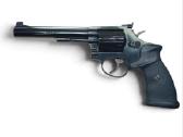 Revolveris Taurus 96 .22lr - nuotraukos Nr. 2