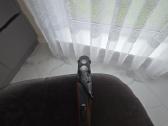 Beretta Ultra Light - nuotraukos Nr. 6