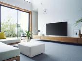 Panasonic 40" 102cm Smart 4k 120hz - nuotraukos Nr. 2