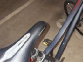 Miesto dviratis Riverside 500 L dydis - nuotraukos Nr. 7