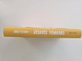 Knyga Emily Henry Vasaros Romanas - nuotraukos Nr. 2
