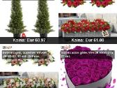 Dirbtiniai Bukmedžiai – Žalumos Elegancija - nuotraukos Nr. 11