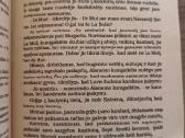 Aleksandras Diuma "Karalienė Margo" - nuotraukos Nr. 10