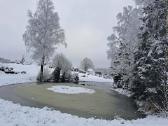 Tvenkinių kasimas ilgastreliu ekskavatoriumi - nuotraukos Nr. 4