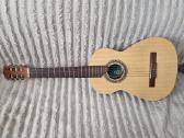 Gitaros - nuotraukos Nr. 5