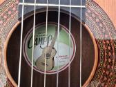 Gitaros - nuotraukos Nr. 6