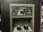 Focal chorus v (705v) koloneles ir Denon Ud-m31 - nuotraukos Nr. 6