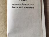 A. Diuma sūnus " Dama su kamelijomis" - nuotraukos Nr. 4