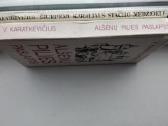 V. Karatkevičius. Alšėnų pilies paslaptis. Karalia - nuotraukos Nr. 22