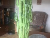 Kaktusas 95cm - nuotraukos Nr. 3