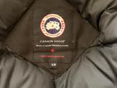 Canada goose - nuotraukos Nr. 6