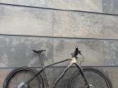 Orbea Alma M-ltd - nuotraukos Nr. 4