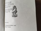 A. Diuma "Ševaljė de Mezon Ružas. Juodoji tulpė" - nuotraukos Nr. 4