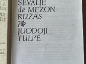 A. Diuma "Ševaljė de Mezon Ružas. Juodoji tulpė" - nuotraukos Nr. 5