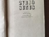 Vilis Lacis "Žvejo sūnus" - nuotraukos Nr. 4