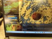 Lenovo Ideapad 3 15 R5-5600h 16gb 500ssd Rtx 3050 - nuotraukos Nr. 12