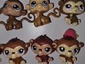 Littlest pet shop žaisliukai - nuotraukos Nr. 20