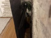 Televizorius LG Oled65b13la, - nuotraukos Nr. 3