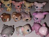 Littlest pet shop žaisliukai - nuotraukos Nr. 14