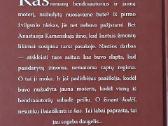 A. Marinina - " Bendraautoriai " - nuotraukos Nr. 5