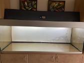 Akvariumas 400 ltr - nuotraukos Nr. 3