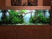 Akvariumas 400 ltr - nuotraukos Nr. 9