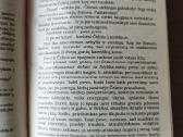 Aleksandras Diuma "Askanijas (2 dalys)" - nuotraukos Nr. 9