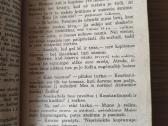 Aleksandras Diuma "Džono Deviso nuotykiai" - nuotraukos Nr. 9