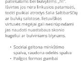 Ekologiškai augintos bulvės Jelly ir Laura - nuotraukos Nr. 2