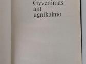 Gyvenimas ant ugnikalnio - nuotraukos Nr. 3