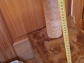 Namelis-draskyklė, maisto dubenėliai ir tualetas - nuotraukos Nr. 4