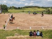 Gardų nuoma žirgams žirgyne Vilniaus rajone - nuotraukos Nr. 9