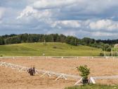 Gardų nuoma žirgams žirgyne Vilniaus rajone - nuotraukos Nr. 10