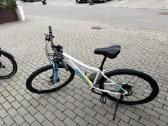 Trys dviračiai. KTM, Cube - nuotraukos Nr. 8