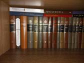 Pasaulinė literatūra - nuotraukos Nr. 8