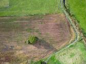 1,12 Ha namų valdos sklypas netoli Klaipėdos! - nuotraukos Nr. 7