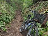Mongoose Rockadile - nuotraukos Nr. 9