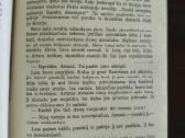 Arčibaldas Kroninas "Žvaigždės žiūri žemyn" - nuotraukos Nr. 15