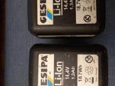 Gesipa akumai. - nuotraukos Nr. 3