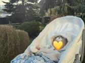 Chicco 5 -1 baby hug pro - nuotraukos Nr. 7