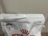 Royal Canin Gastrointestinal kačių maistas - nuotraukos Nr. 2